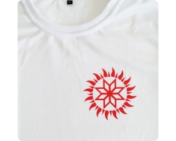 Мужская футболка Волк Коловрат-foto2